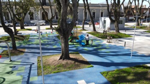 Comenzará la tala de 19 árboles en Plaza 19 de Abril por riesgo de caída y serán reemplazados por nuevos ejemplares