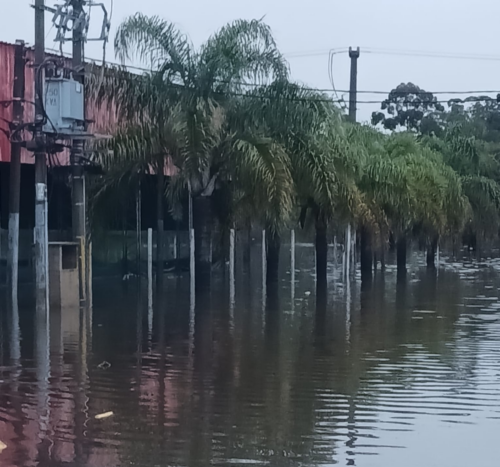 EL RÍO OLIMAR SIGUE BAJANDO, PERO SE MANTIENE LA ALERTA EN TREINTA Y TRES