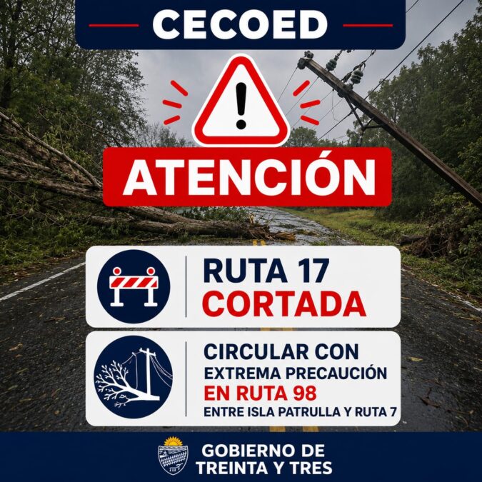 INFORME CECOED