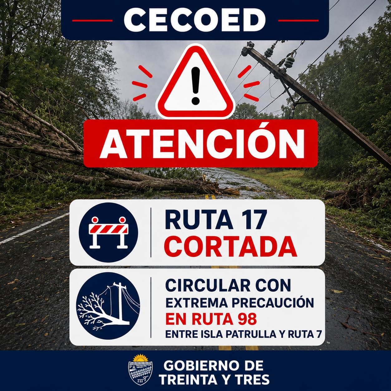 INFORME CECOED