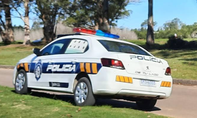 OCHO DETENIDOS TRAS CINCO ALLANAMIENTOS EN LOS BARRIOS ISAAC DE LEÓN Y NELSA GÓMEZ
